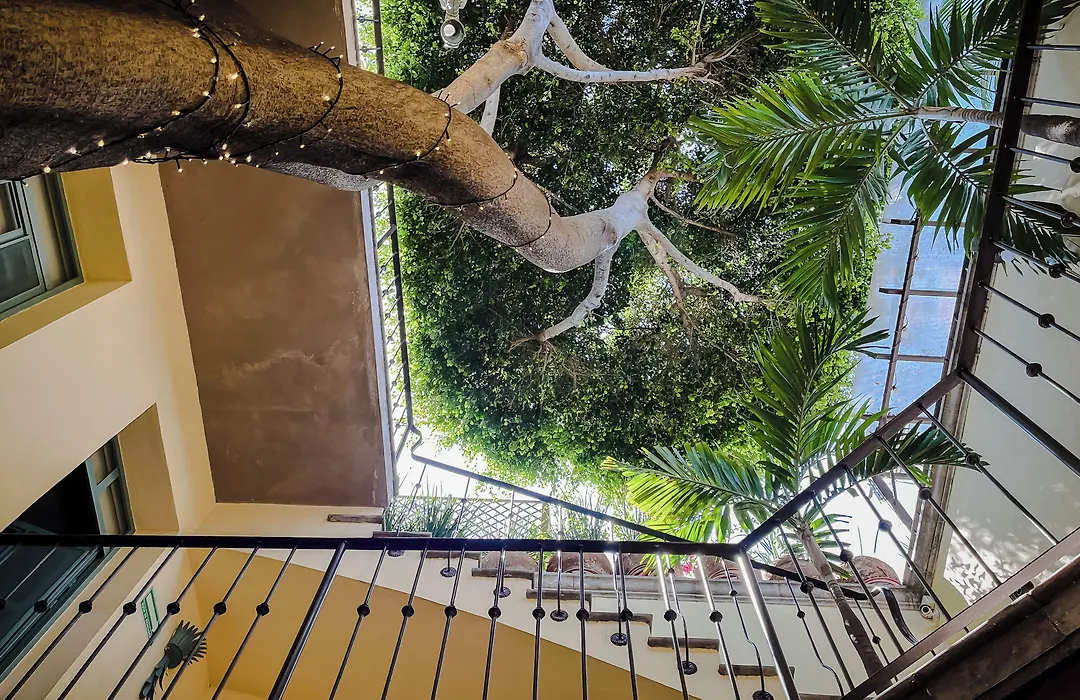 Casa Florida-1